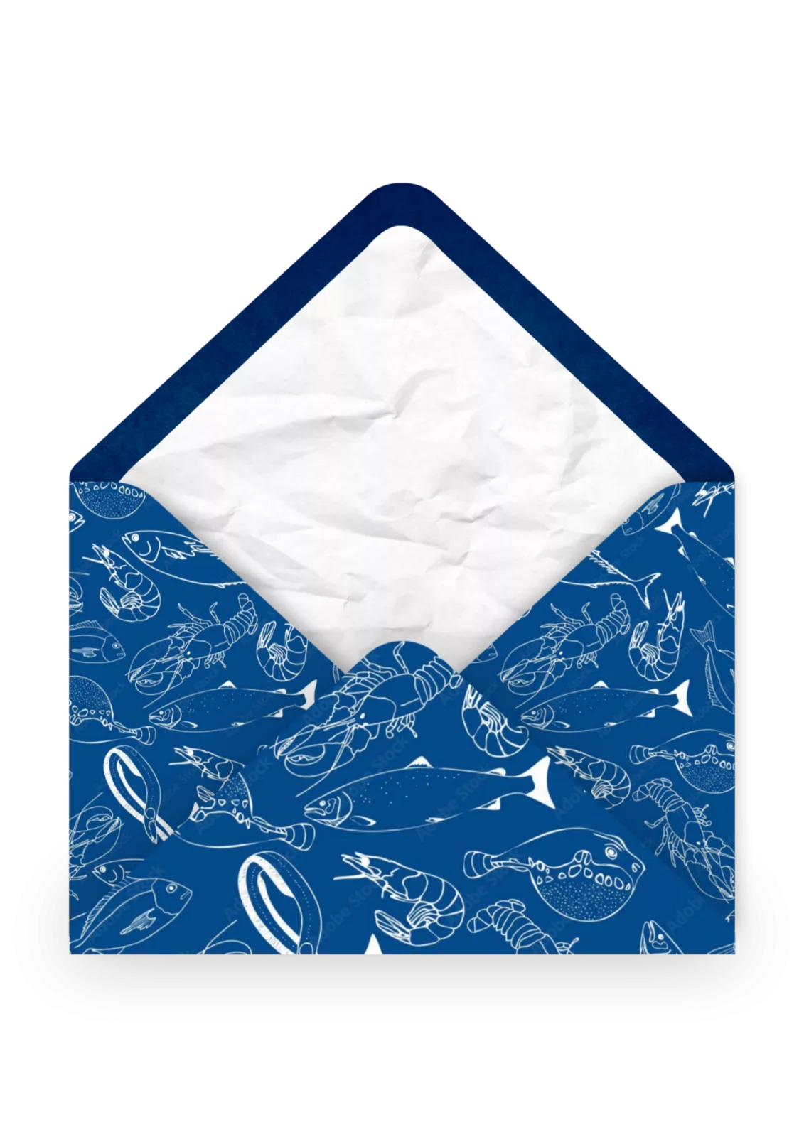 Modèle Marine Fish – Circoncision (Thour)